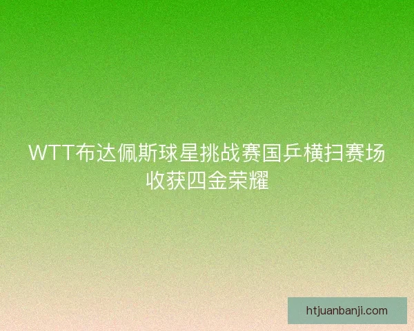 WTT布达佩斯球星挑战赛国乒横扫赛场收获四金荣耀